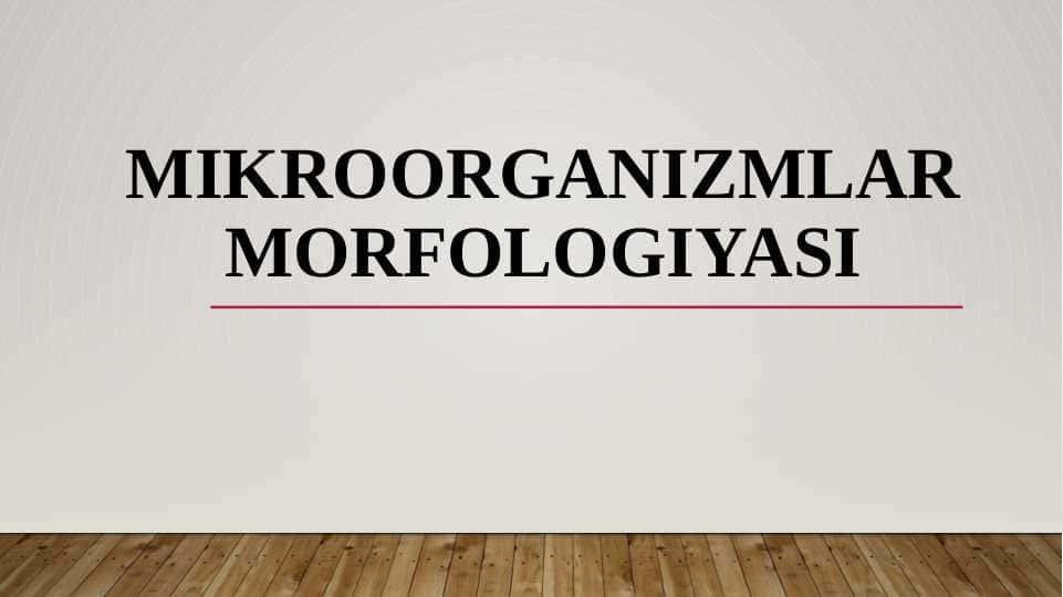 Mikroorganizmlar morfologiyasi