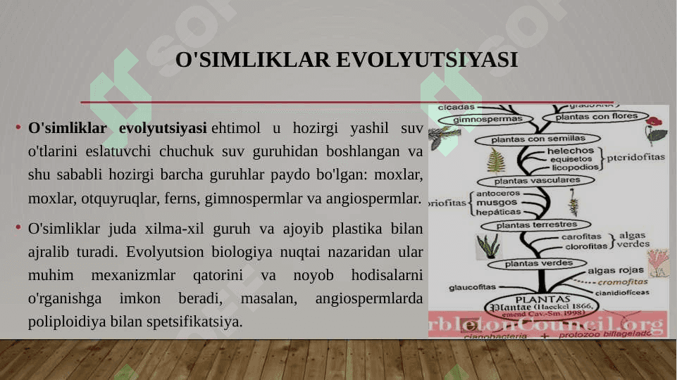 O‘simliklar evolyusiyasi va tirik tabiatning tarixiy jarayonda paydo bo‘lishi. 3