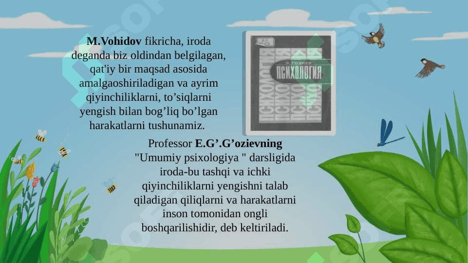 Iroda haqida umumiy tushuncha 6