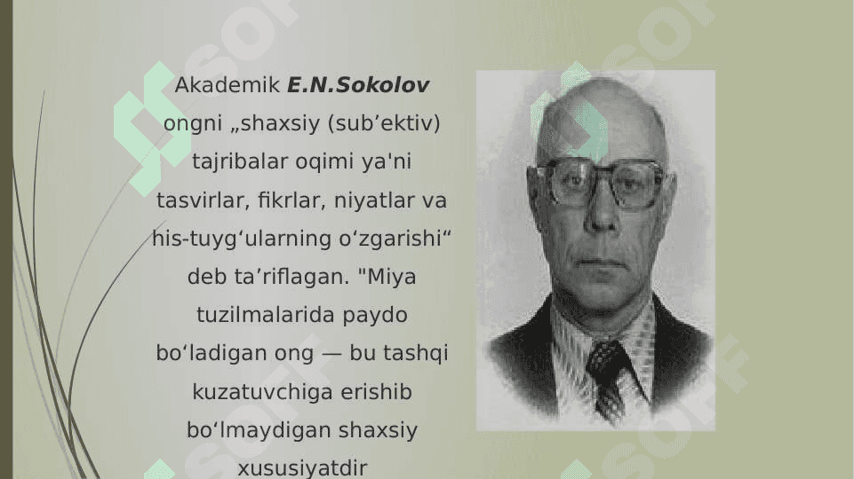 Ong psixologiyasi va neyrofiziologiyasi 6