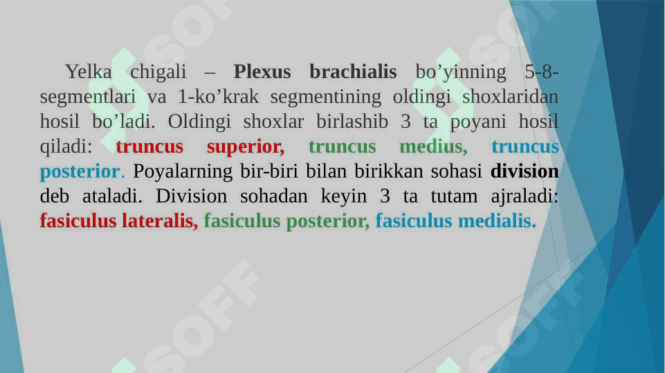 Yelka chigali 3