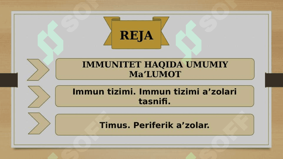 ORGANIZM IMMUN TIZMI 2