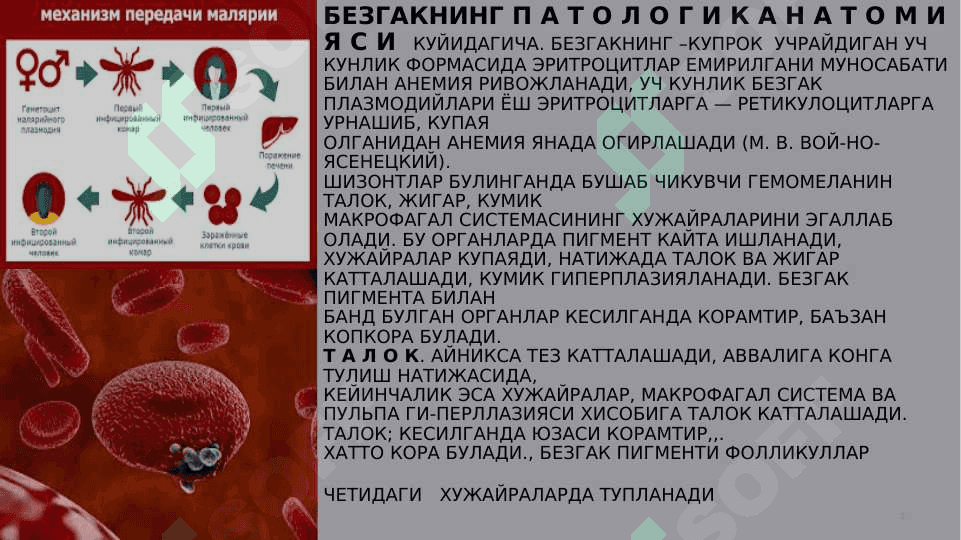 Parazitar infeksiyalar (malyariya, leyshmanioz, amebiaz) 3