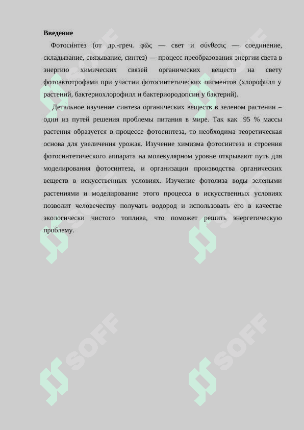 Роль фотосинтеза в природе 4