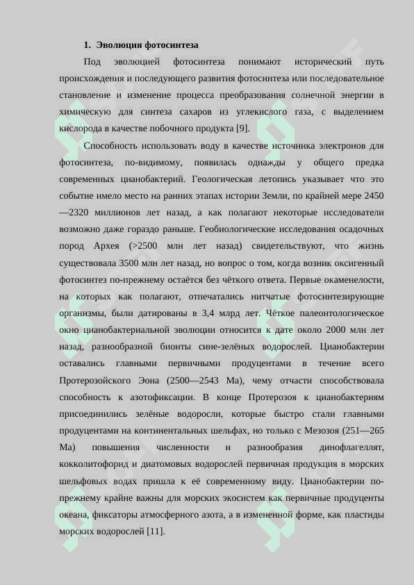Роль фотосинтеза в природе 5