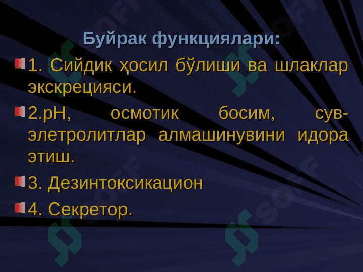 Буйрак биокимёси . Buyrak biokimyosi 3