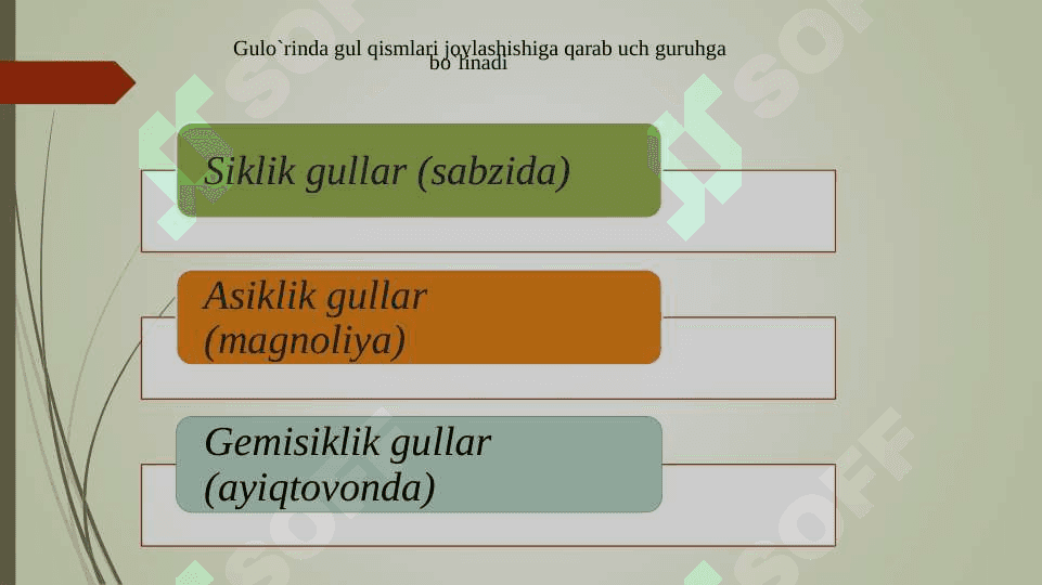 Gullar 4