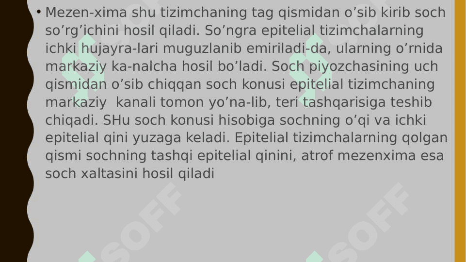 Soch follikulasining sikli (soch o'sishi sikli) va uning klinik ahamiyati. 4