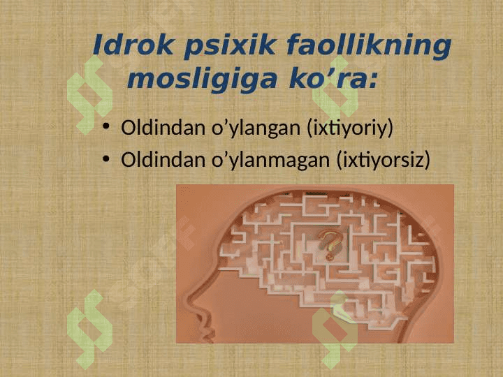 Idrok haqida tushuncha 2 5