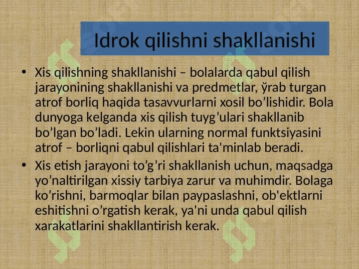 Idrok haqida tushuncha 2 6