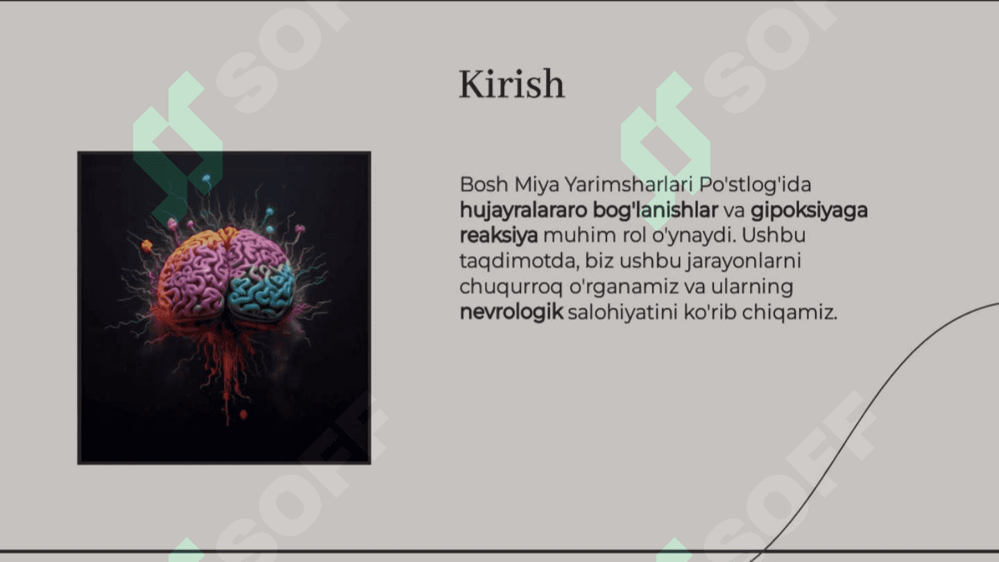 Bosh miya yarimsharlari po'stlog'ida hujayralararo bog'lanishlar va gipoksiyaga reaksiya 2