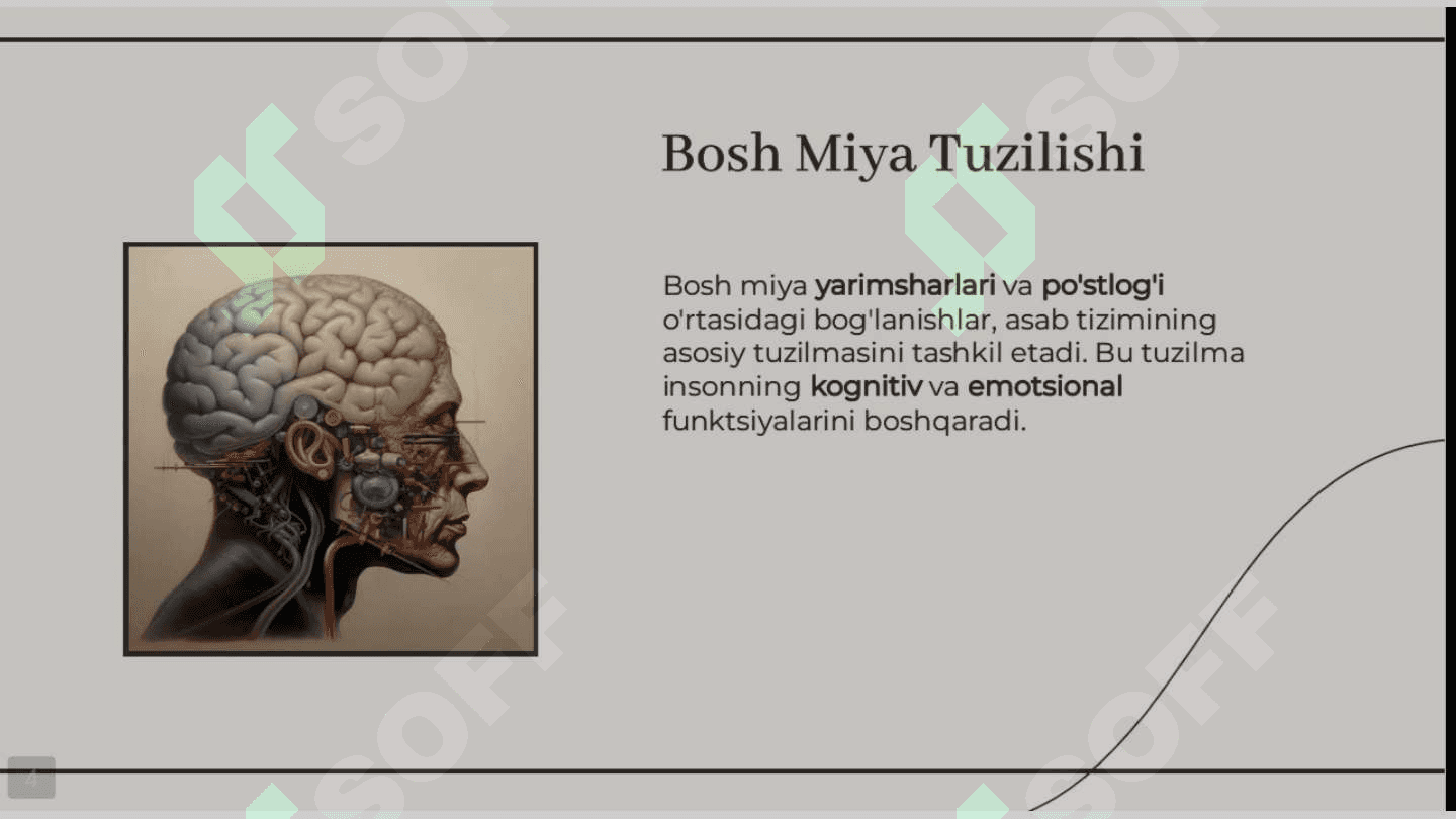 Bosh miya yarimsharlari po'stlog'ida hujayralararo bog'lanishlar va gipoksiyaga reaksiya 3