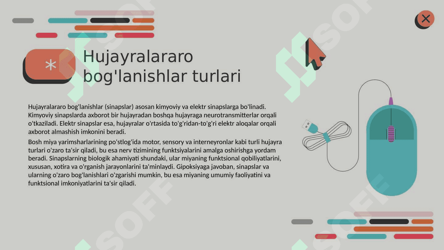 Bosh miya yarimsharlari po'stlog'ida hujayralararo bog'lanishlar. Bosh miya yarimsharlarining po'stlog'ini gipoksiyaga reaksiyasi 3
