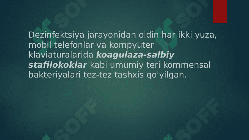 Kompyuter va Telefonlarning bakterial kontaminasiyasi 5