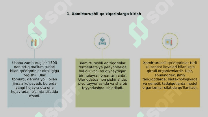 Achitqi zamburug'lar 3
