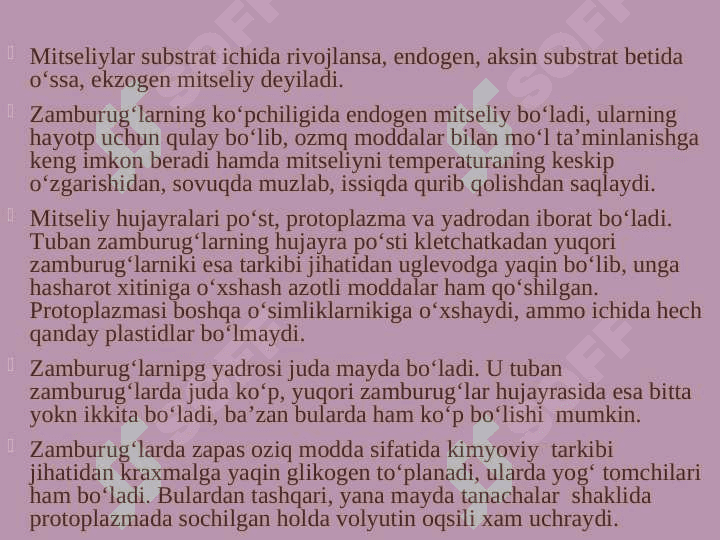 Zamburug' 5