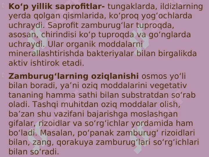 Zamburug' 8