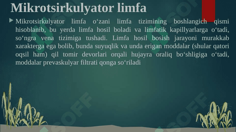 REGIONAR MIKROTSIRKULYATSIYANING BUZILISHLARI 4