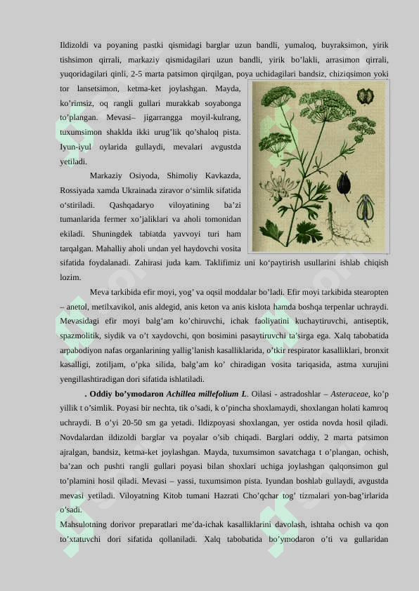 O’zbekistonning foydali o’simliklari 7