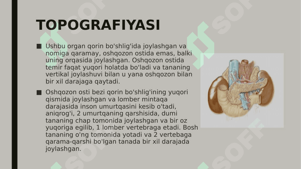 Meda osti bezi, jigar, o’t pufagi 3