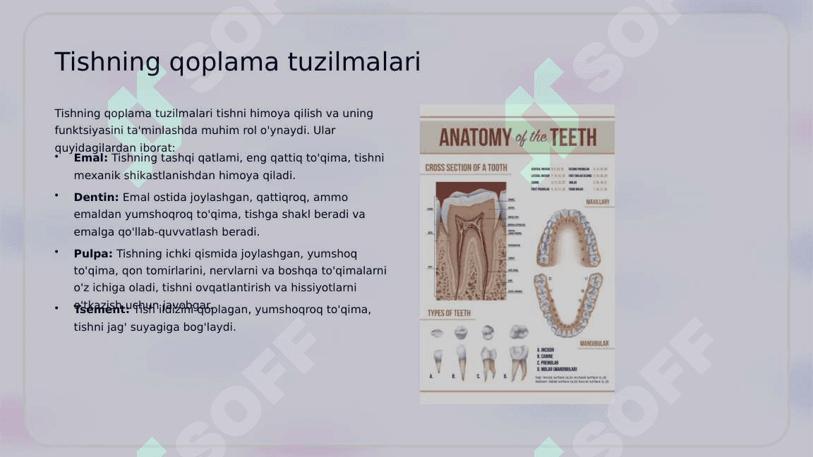 Tish chiqqandan  keyin paydo  bo‘ladigan nokaries  kasalliklar.  Giperesteziya.  Tasnifi, klinikasi,  tashxislash va  qiyosiy tashxislash. 5
