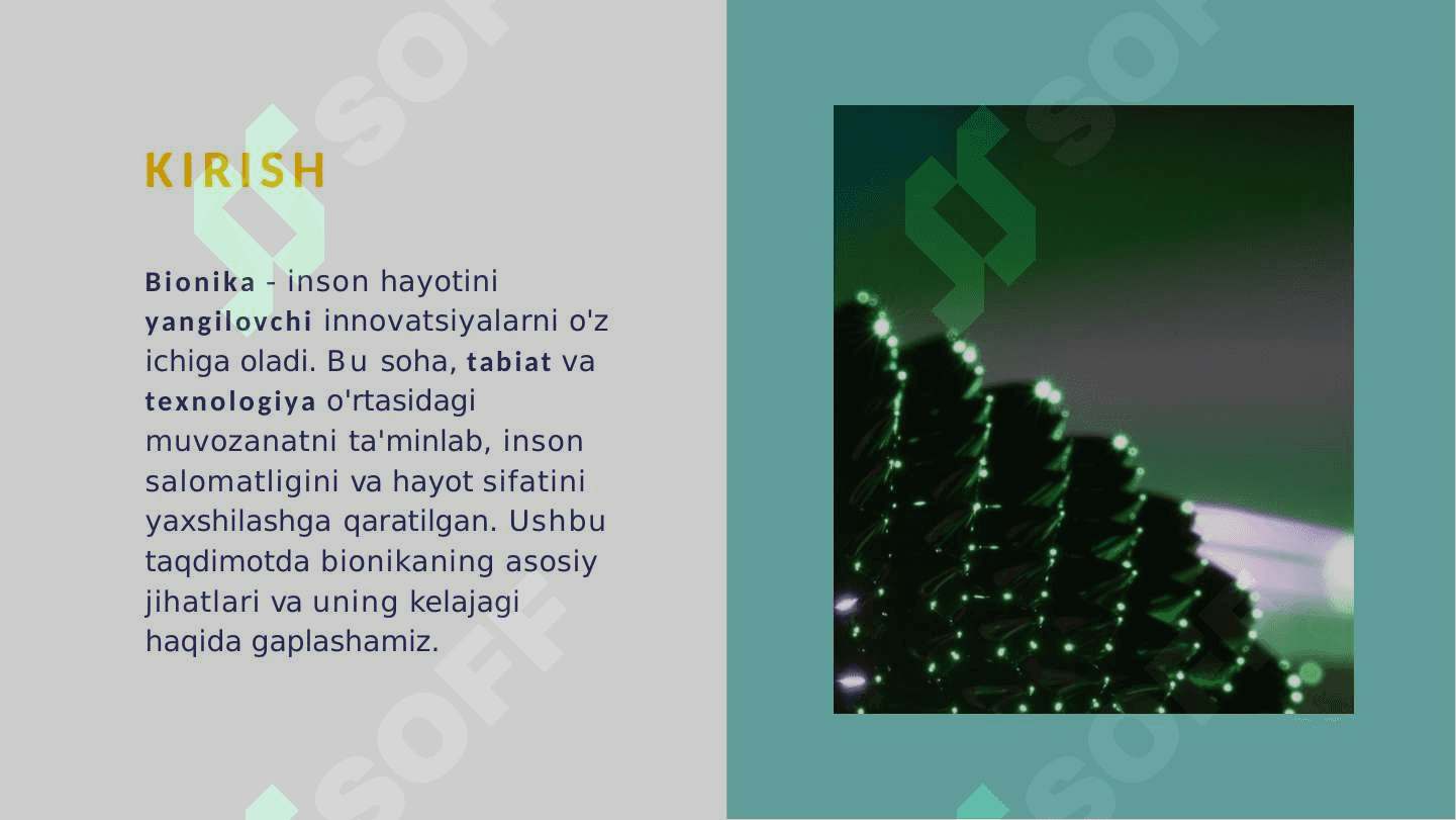 Bionika asoslari va uni inson hayotidagi o'rni 2 2