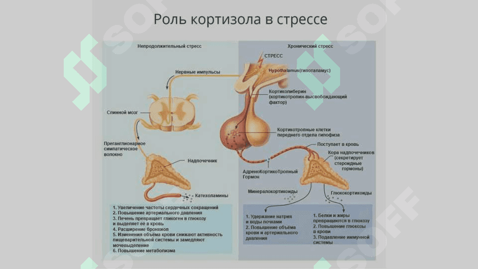 Синдром Кушинга 4