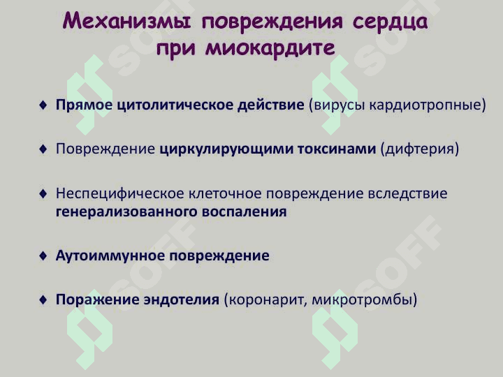 Миокардит 6