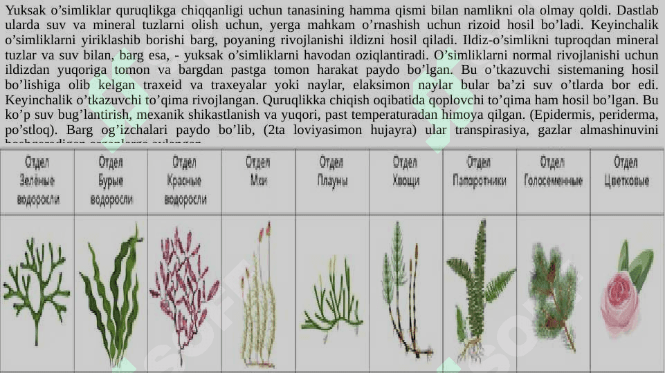 KIRISH BOTANIKA (YUKSAK O‘SIMLIKLAR SISTEMATIKASI). 3