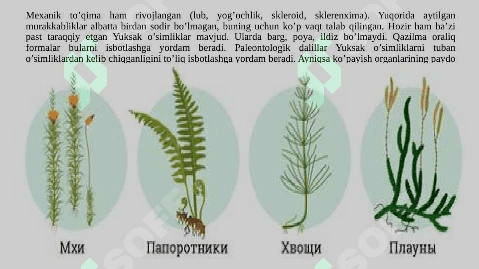 KIRISH BOTANIKA (YUKSAK O‘SIMLIKLAR SISTEMATIKASI). 4