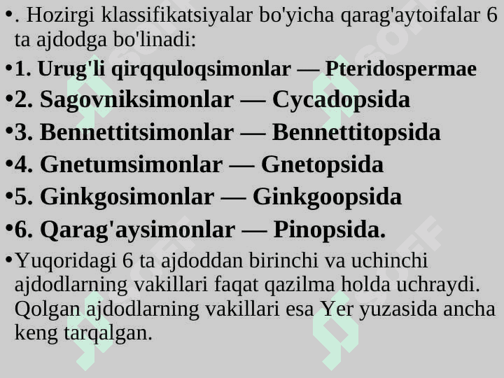QARAG'AYTOIFA O'SIMLIKIAR BO'LIMI - PINOPHYTA 8