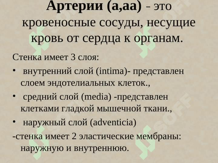 YURАK | сердце 6