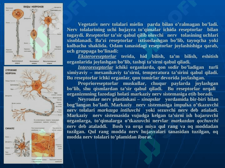 NERV SISTEMASI  HАQIDА UMUMIY TUSHUNCHА 3