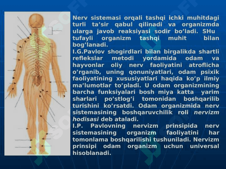 NERV SISTEMASI  HАQIDА UMUMIY TUSHUNCHА 4