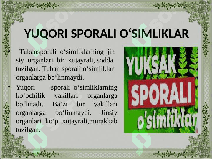 Yuksak sporali o‘simliklarning tuzilishi, ko‘payishi va ahamiyati 3