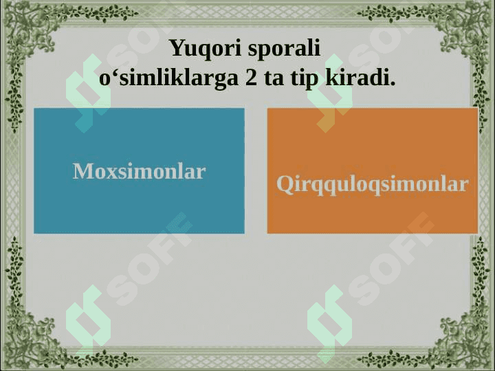 Yuksak sporali o‘simliklarning tuzilishi, ko‘payishi va ahamiyati 4