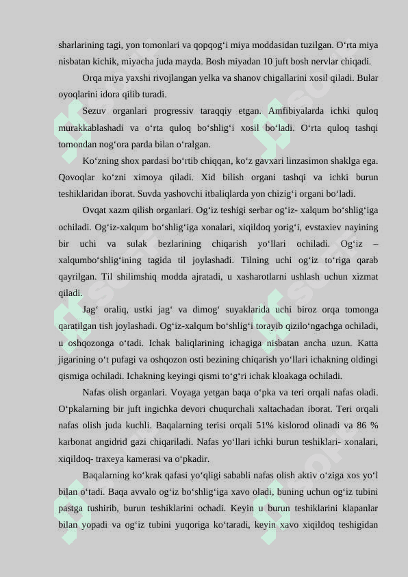 SUVDA VA QURUQLIKDA YASHOVCHILAR SINFINING UMUMIY TAVSIFI 6