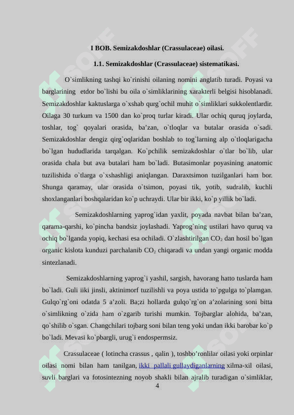 Semizakdoshlar  (Crassulaceae) sistematikasi. Semizakdoshlar (Crassulaceae) turlari 4