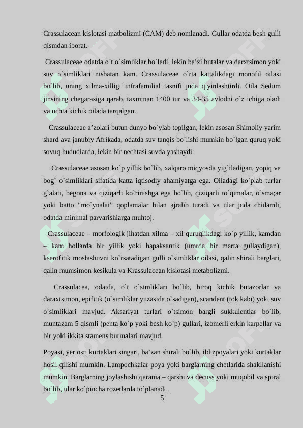 Semizakdoshlar  (Crassulaceae) sistematikasi. Semizakdoshlar (Crassulaceae) turlari 5