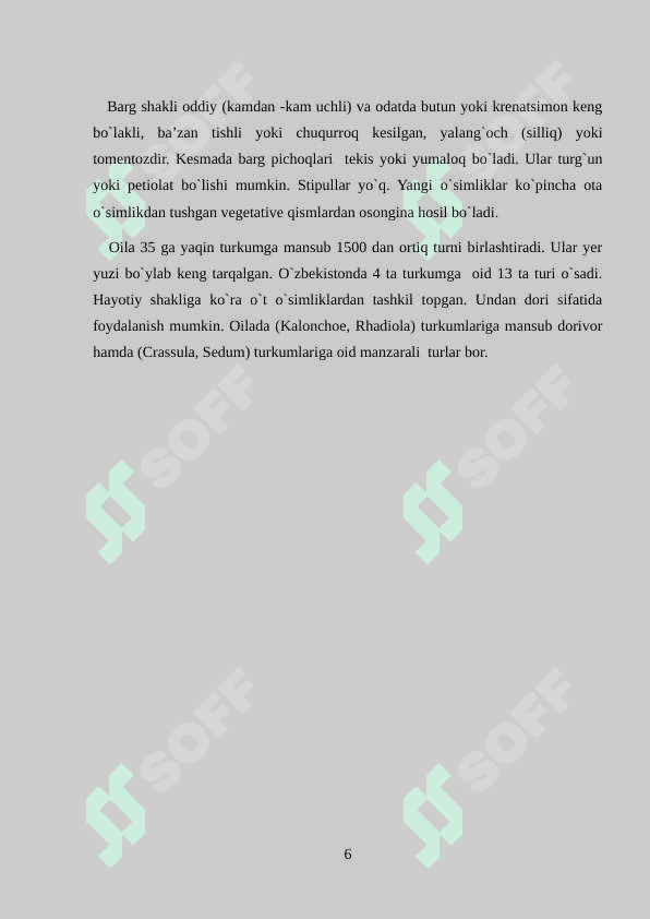 Semizakdoshlar  (Crassulaceae) sistematikasi. Semizakdoshlar (Crassulaceae) turlari 6