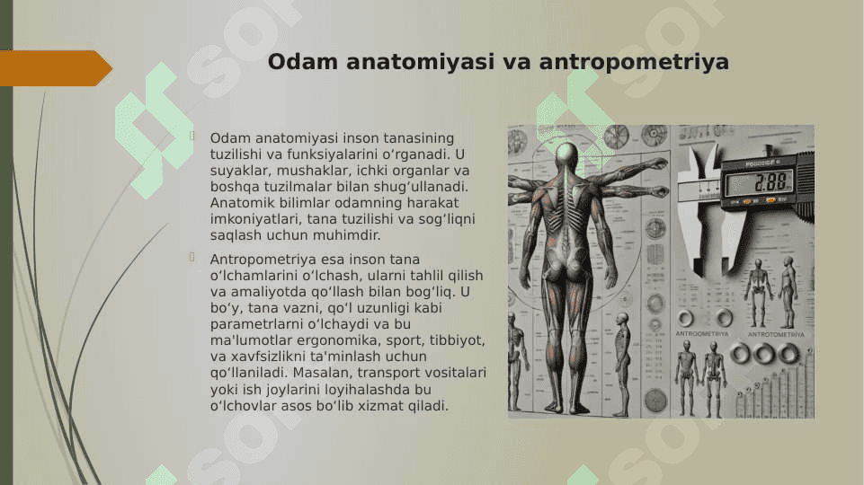 Odam anatomiyasining (antropometrik parametrlarining) xavfsizlikni ta’min lashdagi ahamiyati 3