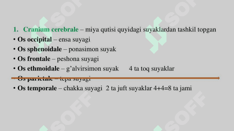 Kalla skeleti 2