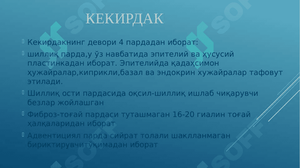 Nafas olish sistemasi 8