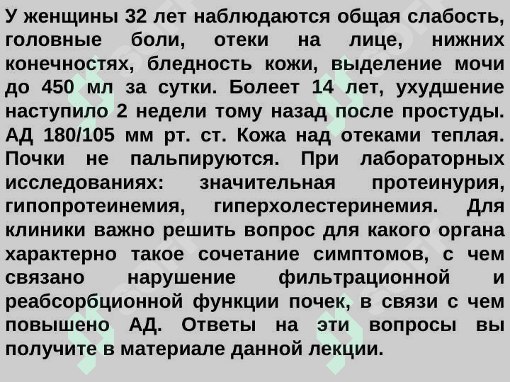 Морфология Почки 2