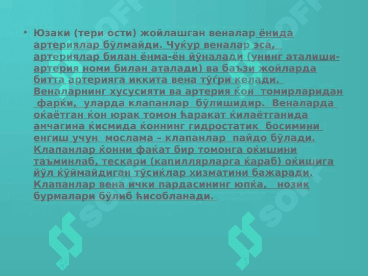 Varikozlar 2