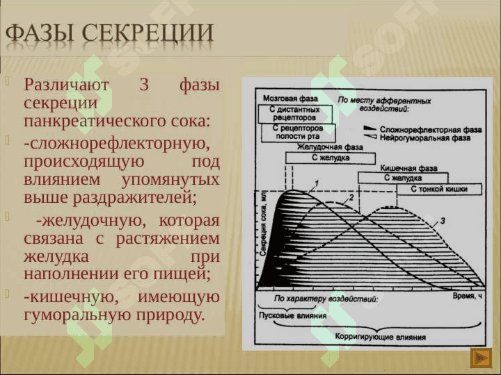 Хронический панкреатит 8