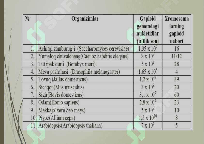 2- Mavzu: Gen, genom va genetik tahlil haqida tushuncha. 5