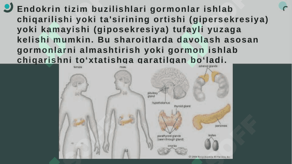 Endokrin bezlar fiziologiyasi. Gipotalamo- gipofizar tizim. Qalqonsimon va qalqonoldi bezi. Buyrakusti bezi fiziologiyasi 5