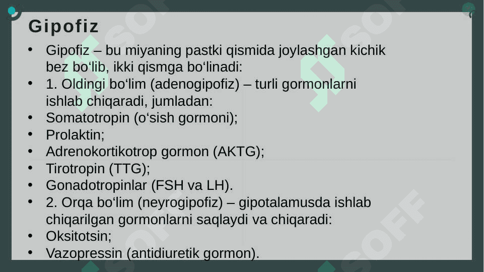Endokrin bezlar fiziologiyasi. Gipotalamo- gipofizar tizim. Qalqonsimon va qalqonoldi bezi. Buyrakusti bezi fiziologiyasi 8