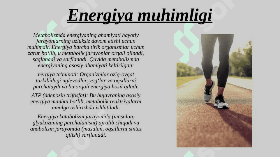 PRIZINTATSIYA 5